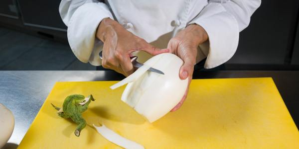 Lisbon's Louisiana Dance Boom: Top Training Hubs Shaping the Next Generation