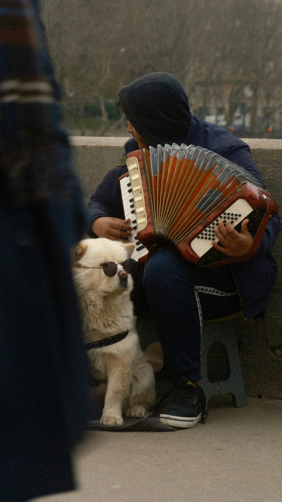 **"Beginner’s Guide to Cumbia: Easy Steps to Start Dancing Today"**
