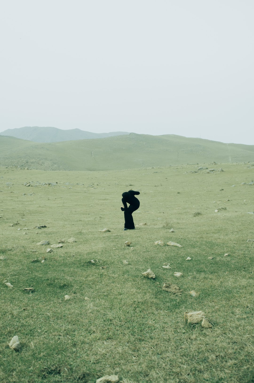 When Dancers Become DNA: Wayne McGregor's Wild Bet on Atwood's MaddAddam