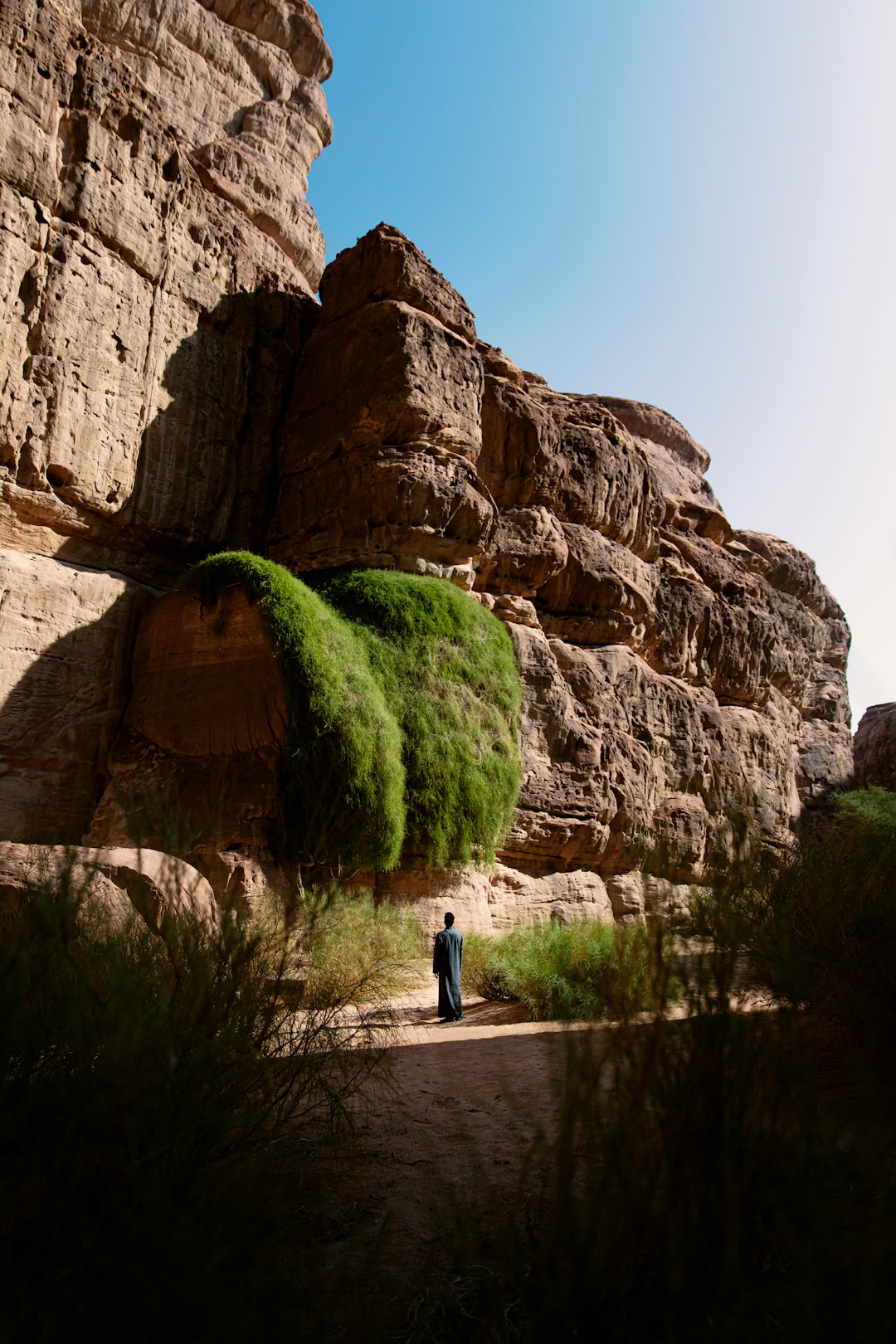 From River Town to Relevé: Finding Your Perfect Ballet Fit in Valmeyer City, IL