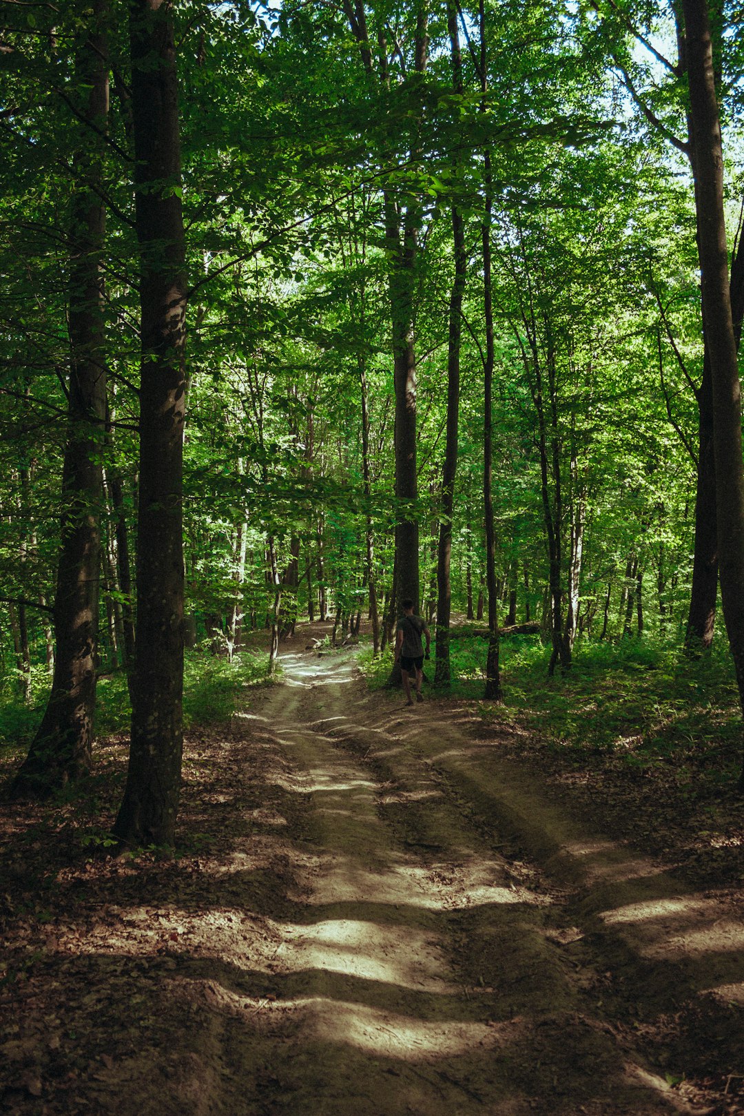 Finding the Right Barre: Where to Study Ballet in Hillburn, New York