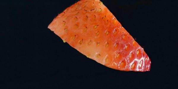 Malden-on-Hudson's Dance Pulse: A Guide to Local Training Hubs