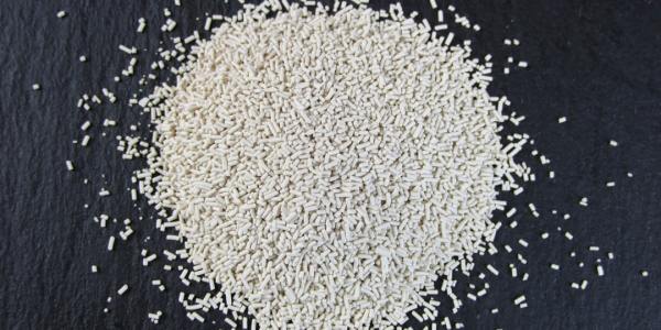 From Beginner to Caller: Scottdale's Square Dance Academy Guide