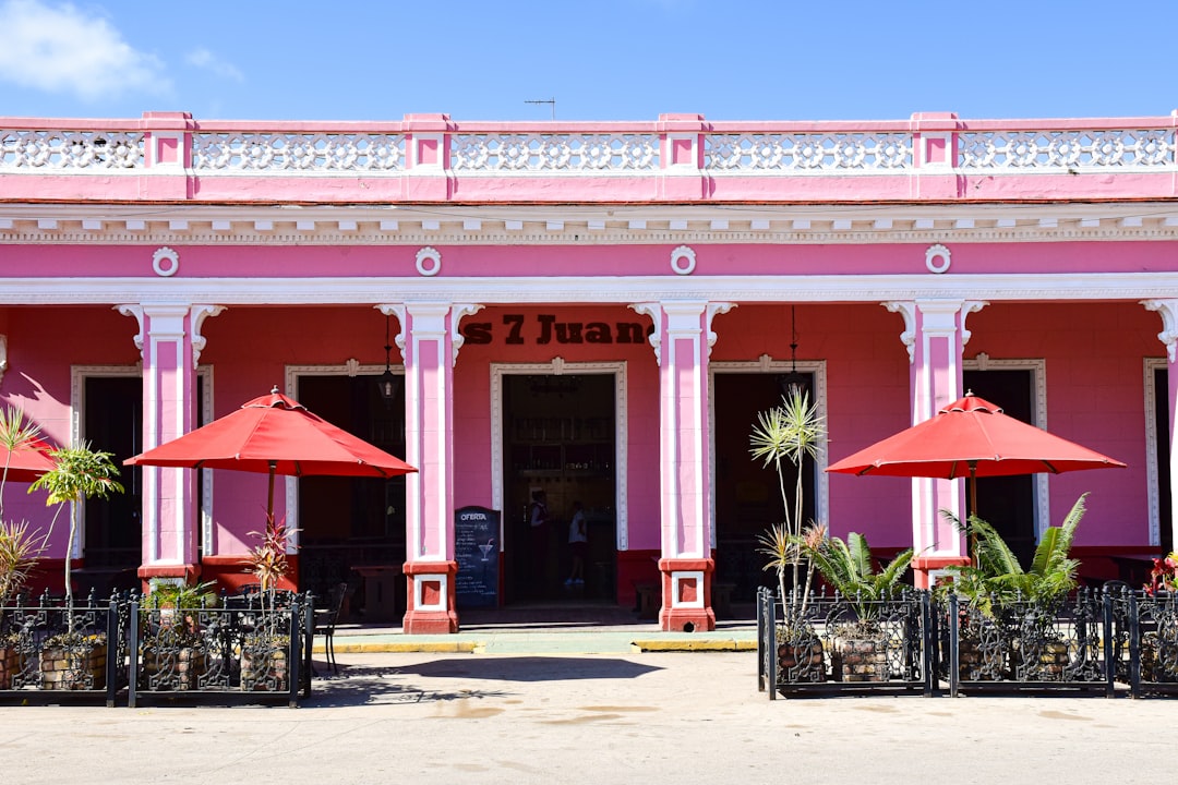 Finding Your Ballet Home: A Local's Honest Guide to Turkey City's Best Dance Studios