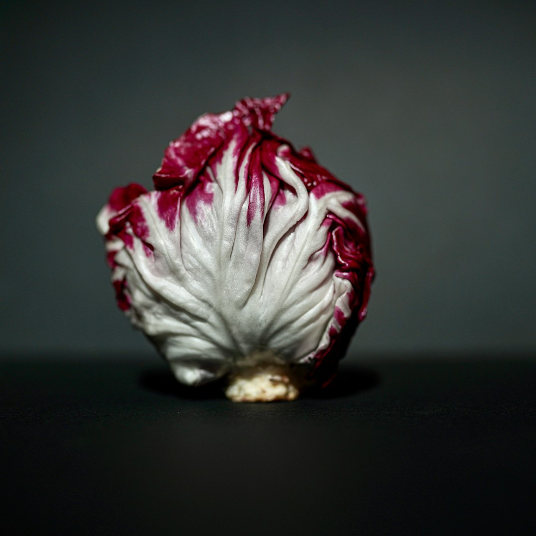 "From Zero to Hero: Essential Steps to Launch Your Breakdancing Career"