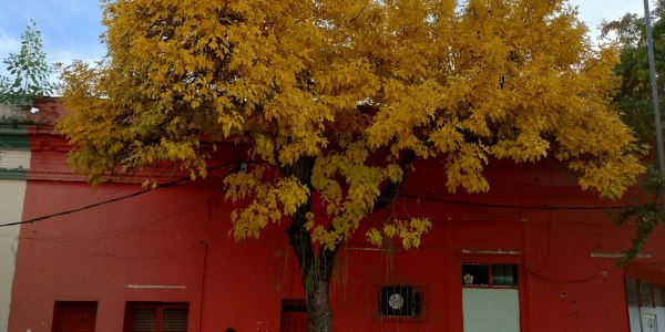 ### **Bingo with a Twist: Why McGee School's "Singo" is the Community Event We All Need**
