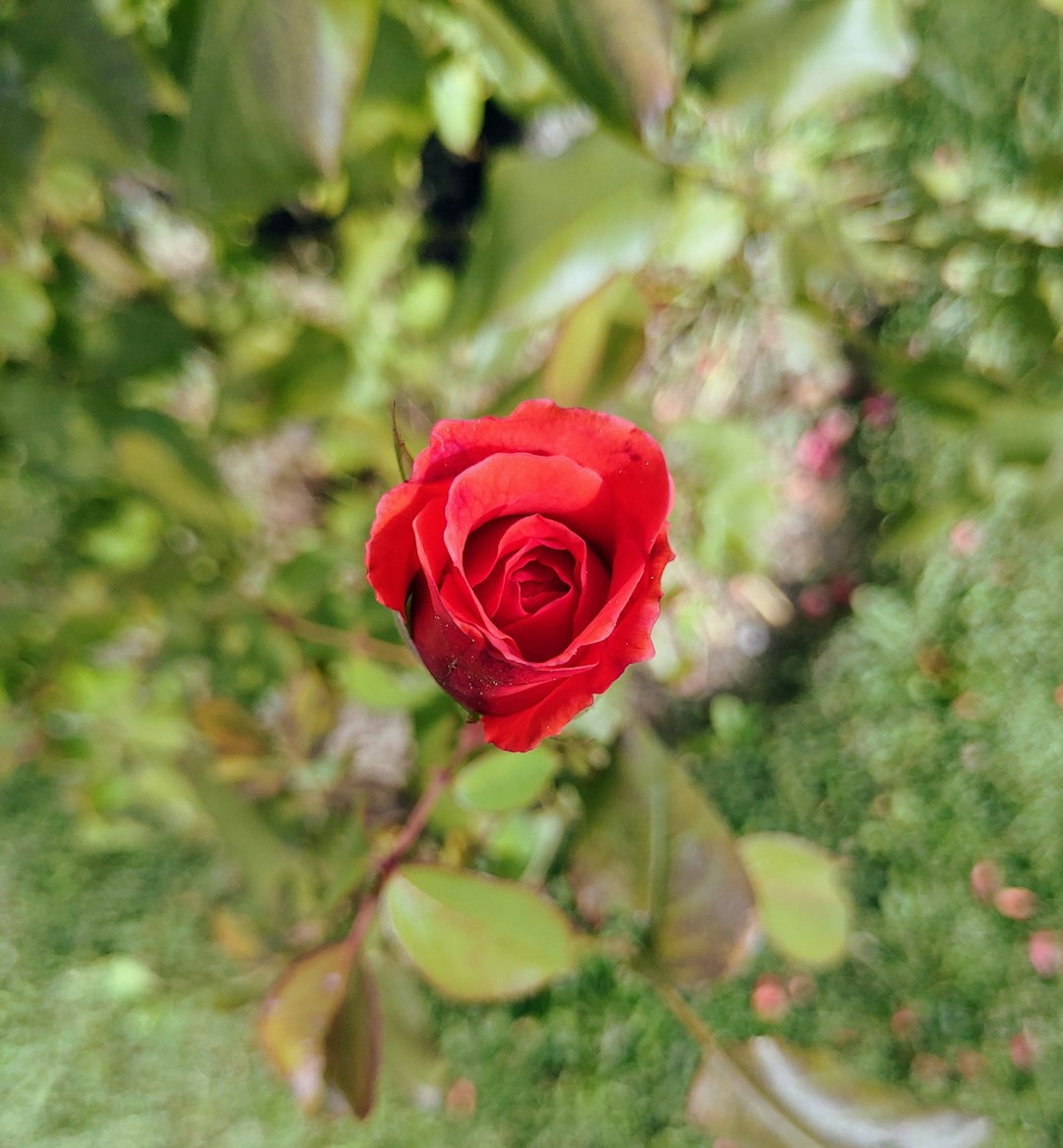 **"Where to Dance & Train: Zumba Studios in Stephan City, SD"**
