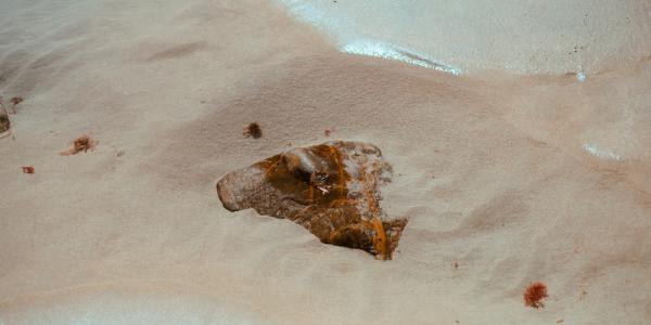 Step with Confidence: How to Choose Your First Ballroom Dance Shoes