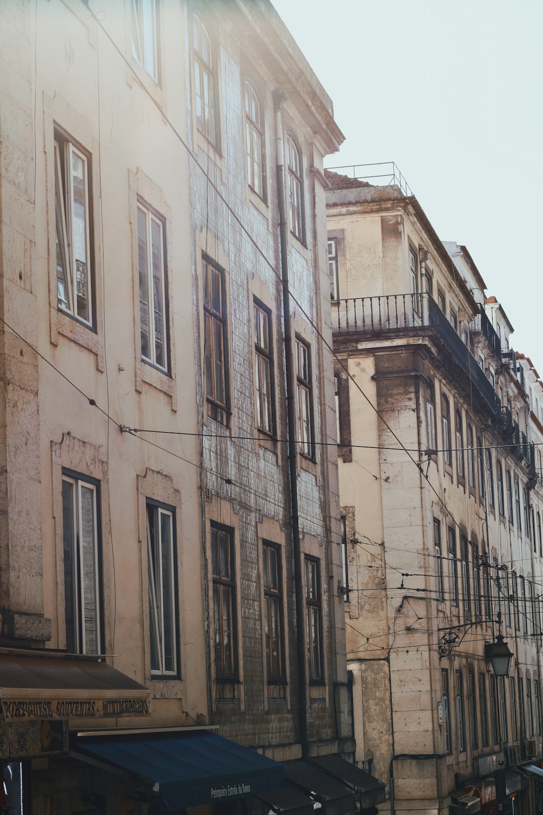 From First Step to Stage-Ready: The Real Path to Professional Tango