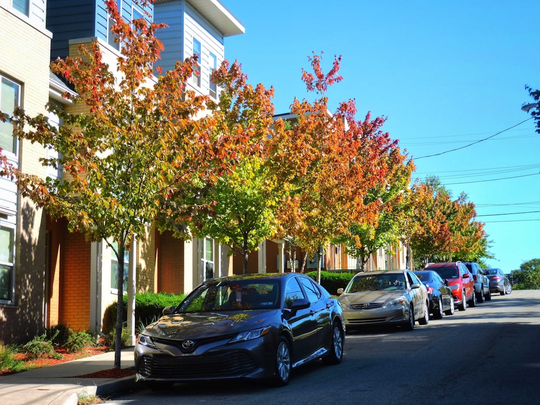 The Hidden Dance World Behind Forestdale's Suburban Streets