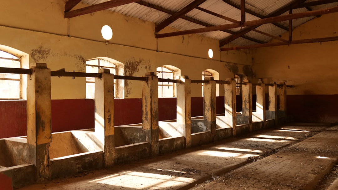 # Bollywood Dance Company Production "5_6_7_8" Blends Movement and Narrative on Stage