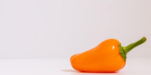 From Sierra to Studio: Ballet Training Grounds in Big Pine, CA