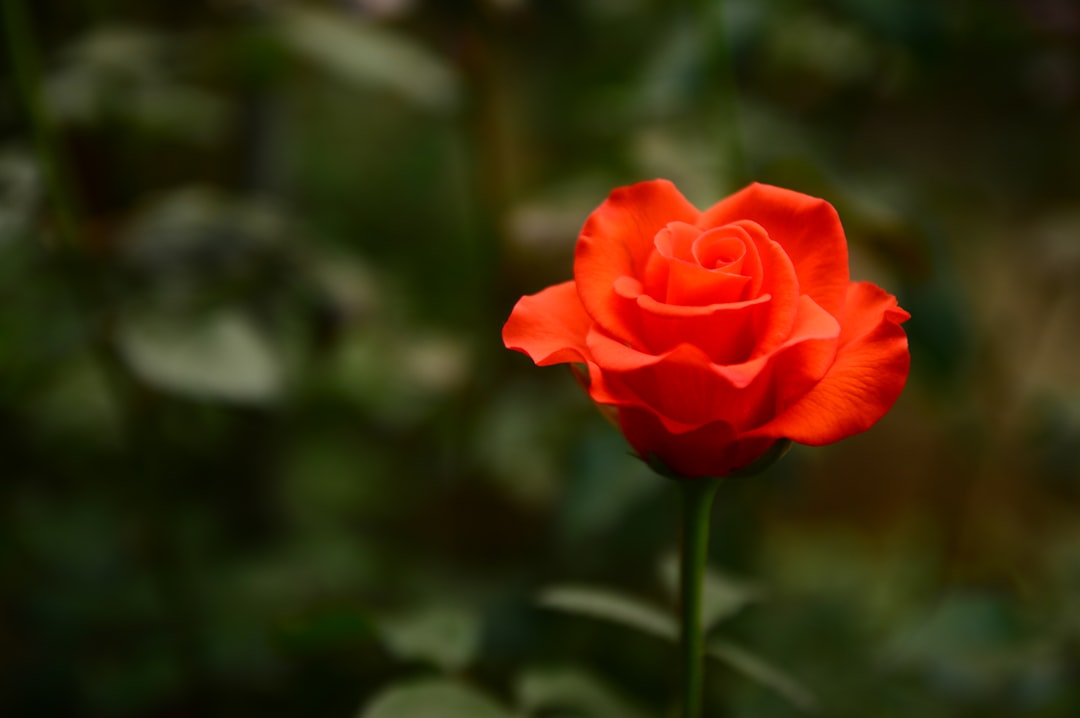**"Must-Have Tap Dance Playlist for 2025"**