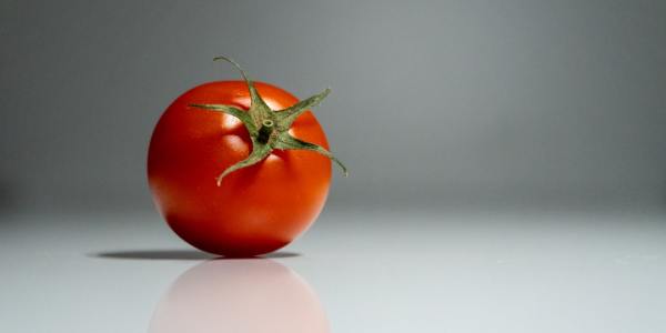 Your Guide to Square Dance Clubs & Instruction in North Middletown