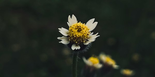 **