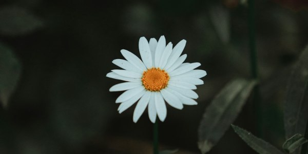 **
