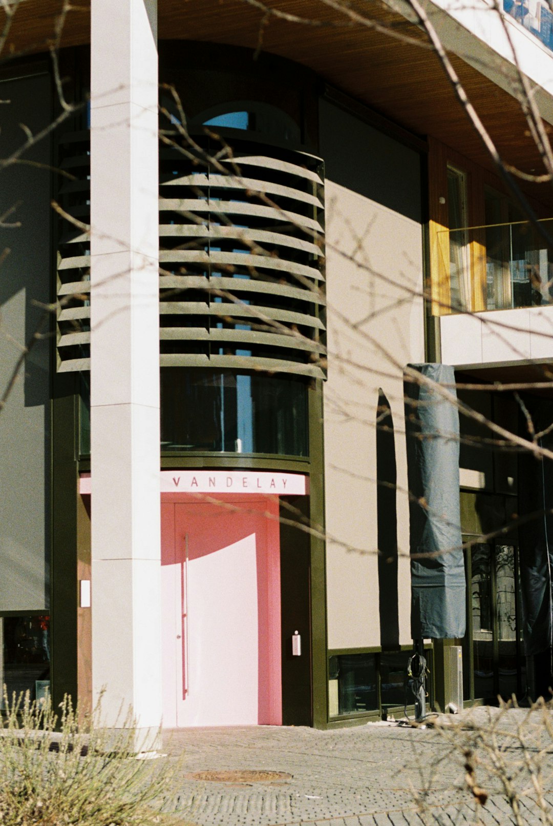 "Top Dance Training Institutions in Cherryland City: A Comprehensive Guide"