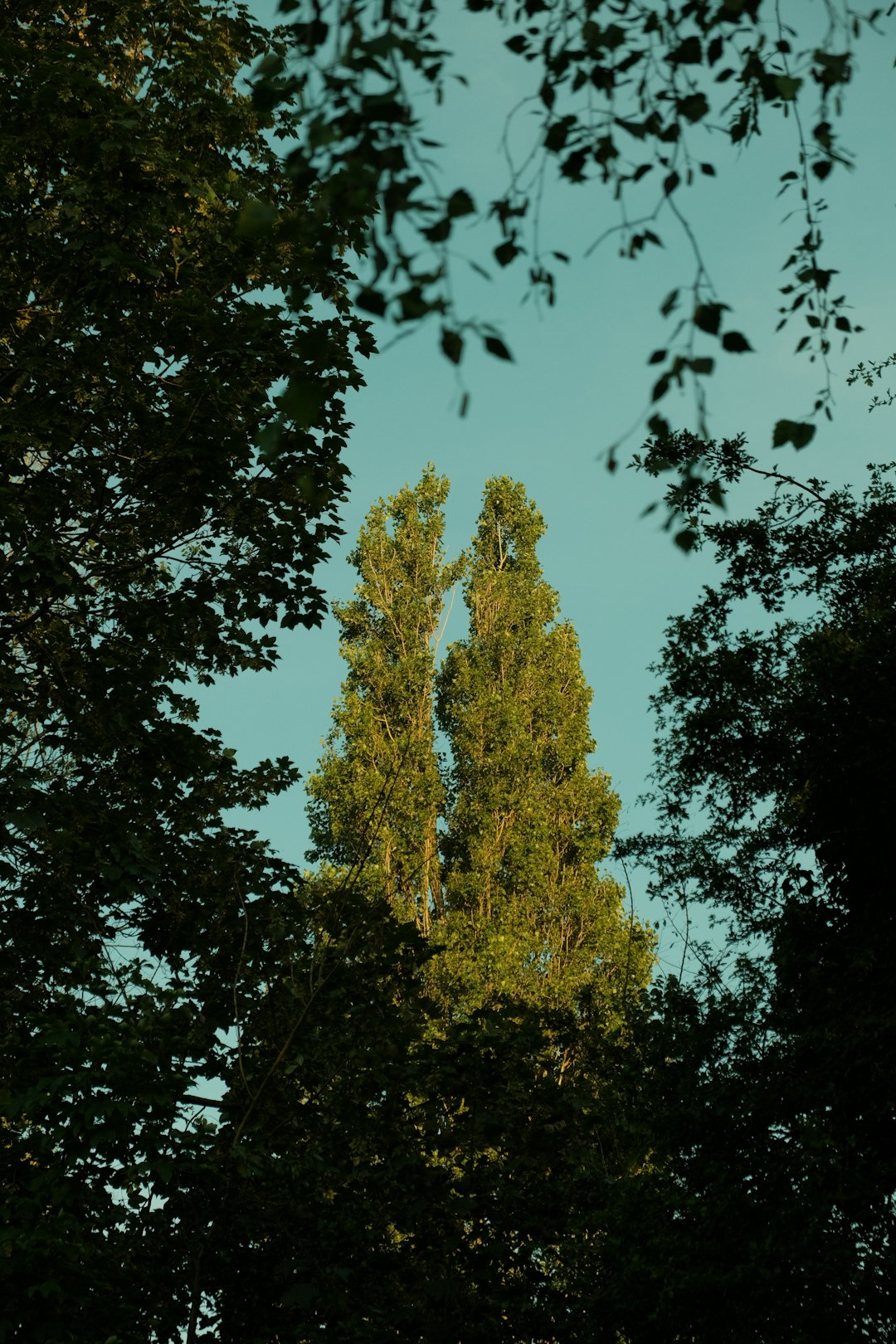 "How to Pick the Perfect Dance Outfit for Any Style"