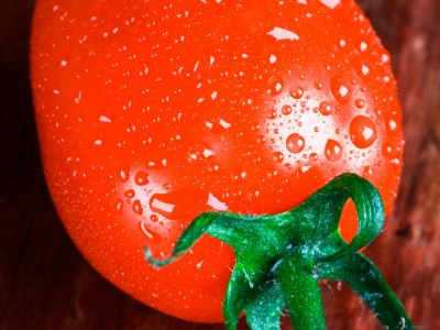 From Beginner to Promenade: Finding Your Square Dance School in Belfair