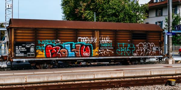 ## The Great Orange Cat Betrayal: When Sibling Dance Moves Cross the Line