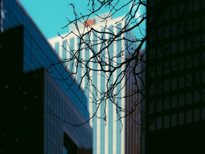 "Find Your Rhythm: A Guide to Salsa Training Institutions in Tiburones City"