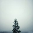 **
