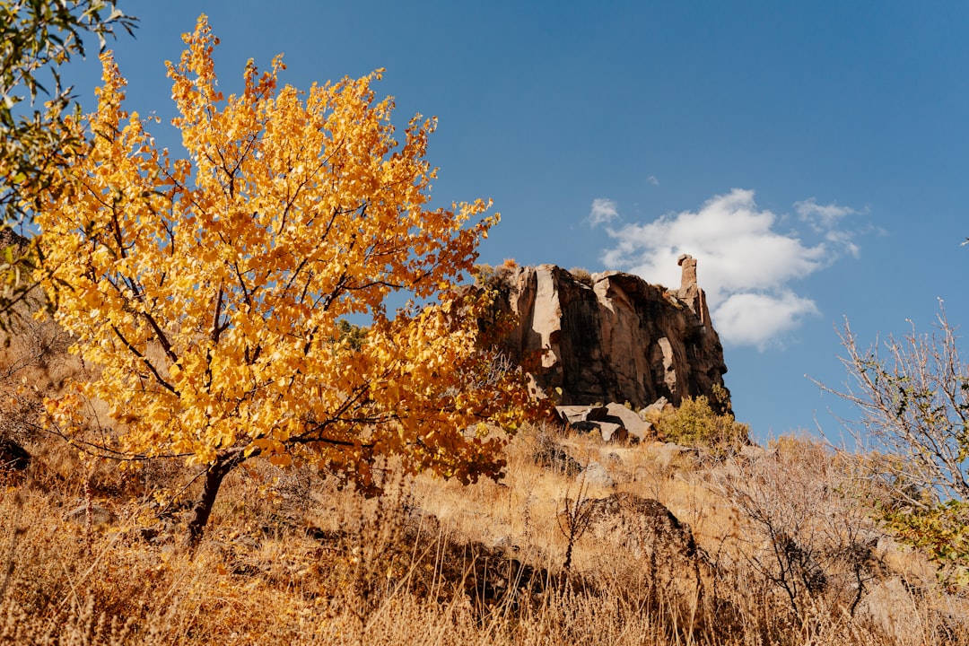 Ballet Beyond the City: Finding Serious Training in Rural Oregon's Shadow of Mount Hood