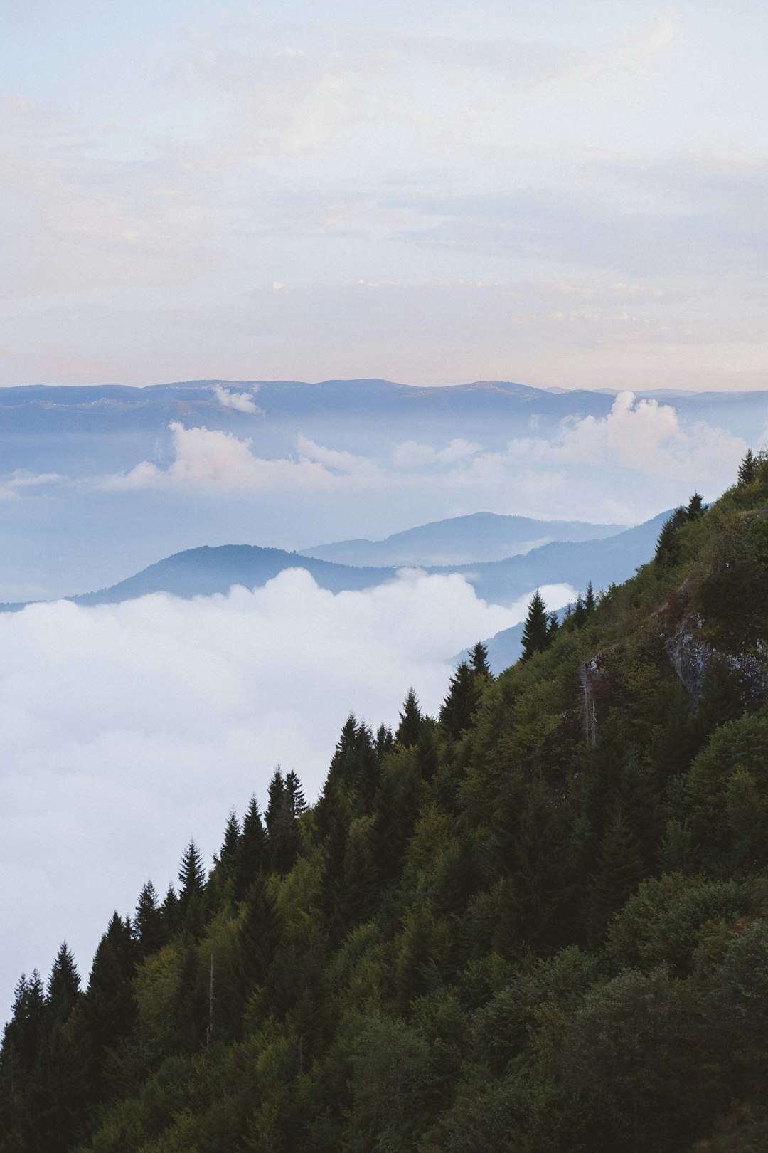 Where to Find Real Ballet Training Near Kratzerville (It's Not Where You Think)