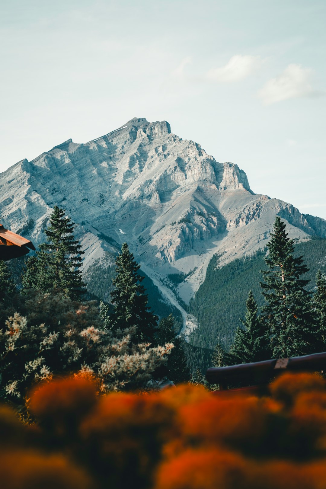 Forget the Tourist Spots — Here's Where Mount Enterprise Dancers Actually Train