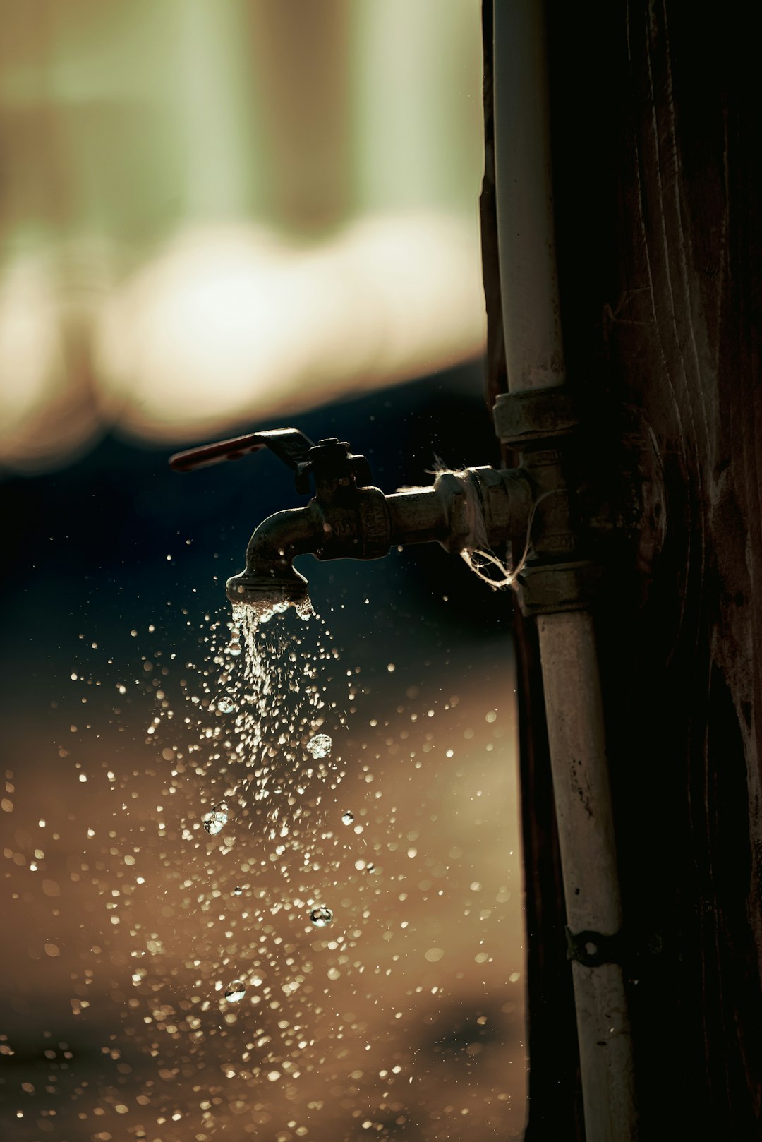 5 Essential Tap Steps Every Beginner Should Master: A Complete Guide to Building Your Foundation