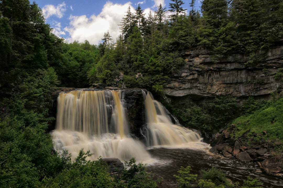 The Night a 91-Year-Old Ballet Met Its Future