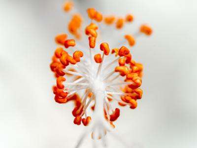 Find Your Rhythm: Top Zumba Instructor Training Programs in Lisbon, Louisiana