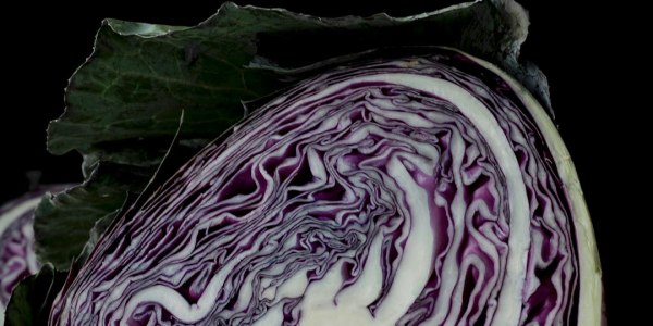 **The Highbridge Festival Is Back—And It’s Bigger Than Ever**