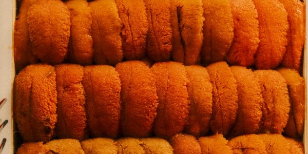 ## The Myth of the "Natural" Dancer: Why Everyone Can (and Should) Dance