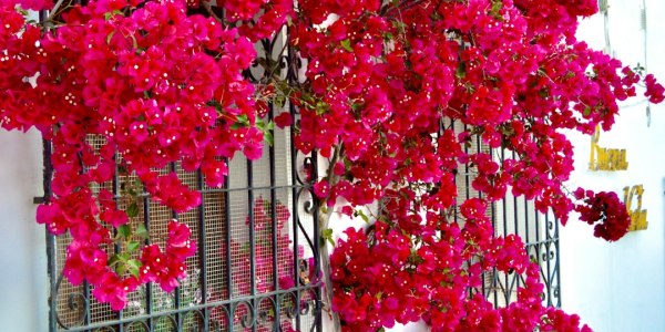 # That Viral Dance Clip: Cringe or Just Free Expression?