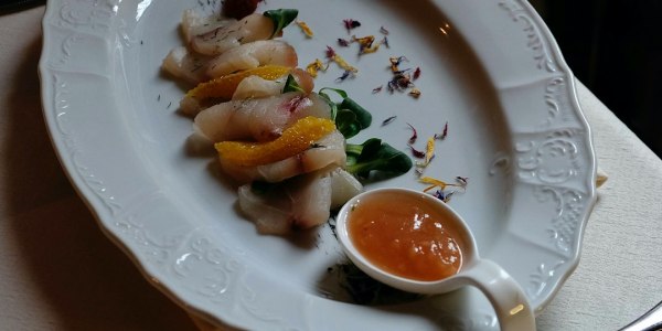 Ballroom 101: Choosing Your First Dance Style as a Newcomer