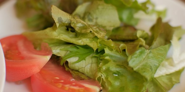 The Professional Pathway: Turning Your Passion for Ballroom into a Viable Career