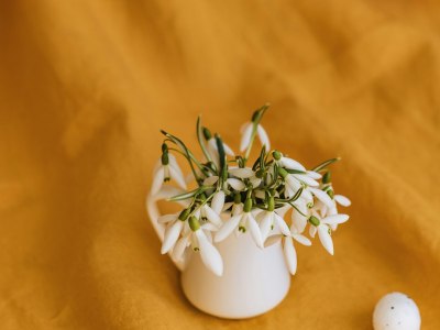 **The Ballroom DJ's Secret: Top Track Picks for Unforgettable Energy**