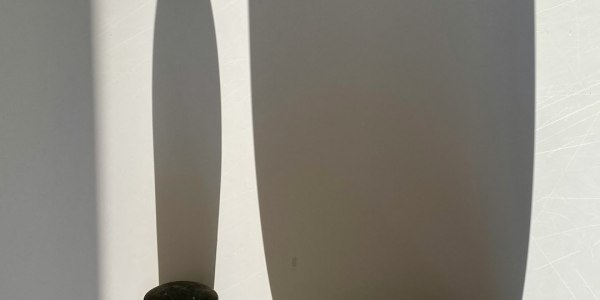 From First Steps to the Stage: Your Professional Flamenco Journey Begins Here. Discover the essential skills and mindset needed to transition from passionate dancer to paid performer.