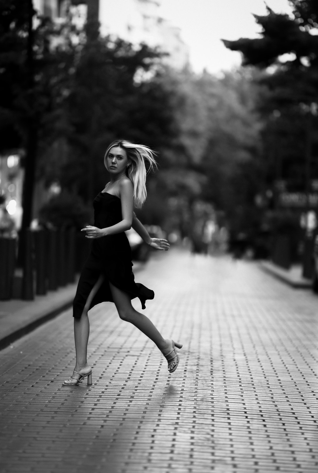 **"Flamenco Fever: The Passion and Power of Spanish Dance"**