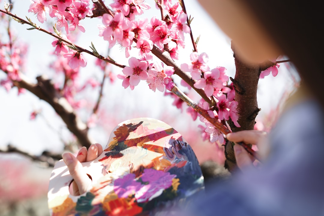 Finding Your Perfect Fit: A Practical Guide to Ballet Studios in Bergenfield, NJ