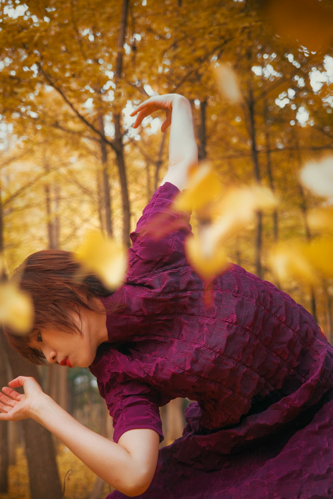 "Exploring the Dance Training Hubs of Harpersville City, Alabama"