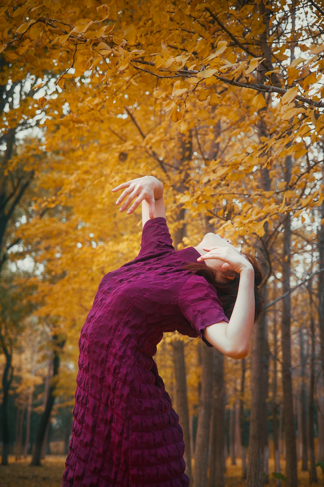 From Manhattan Studios to Buffalo Basements: Where New York Really Learns to Belly Dance
