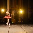 The Beginner's Blueprint: A Step-by-Step Guide to Flamenco Dance