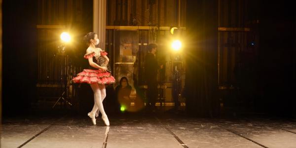 The Beginner's Blueprint: A Step-by-Step Guide to Flamenco Dance