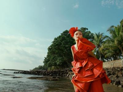 Find Your Flow in Florida: Top Capoeira Academies Near Christmas