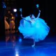 Flamenco for the Soul: Advanced Techniques for Emotional Connection