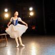 Heel to Toe: The Essential Guide to Choosing Flamenco Dance Shoes