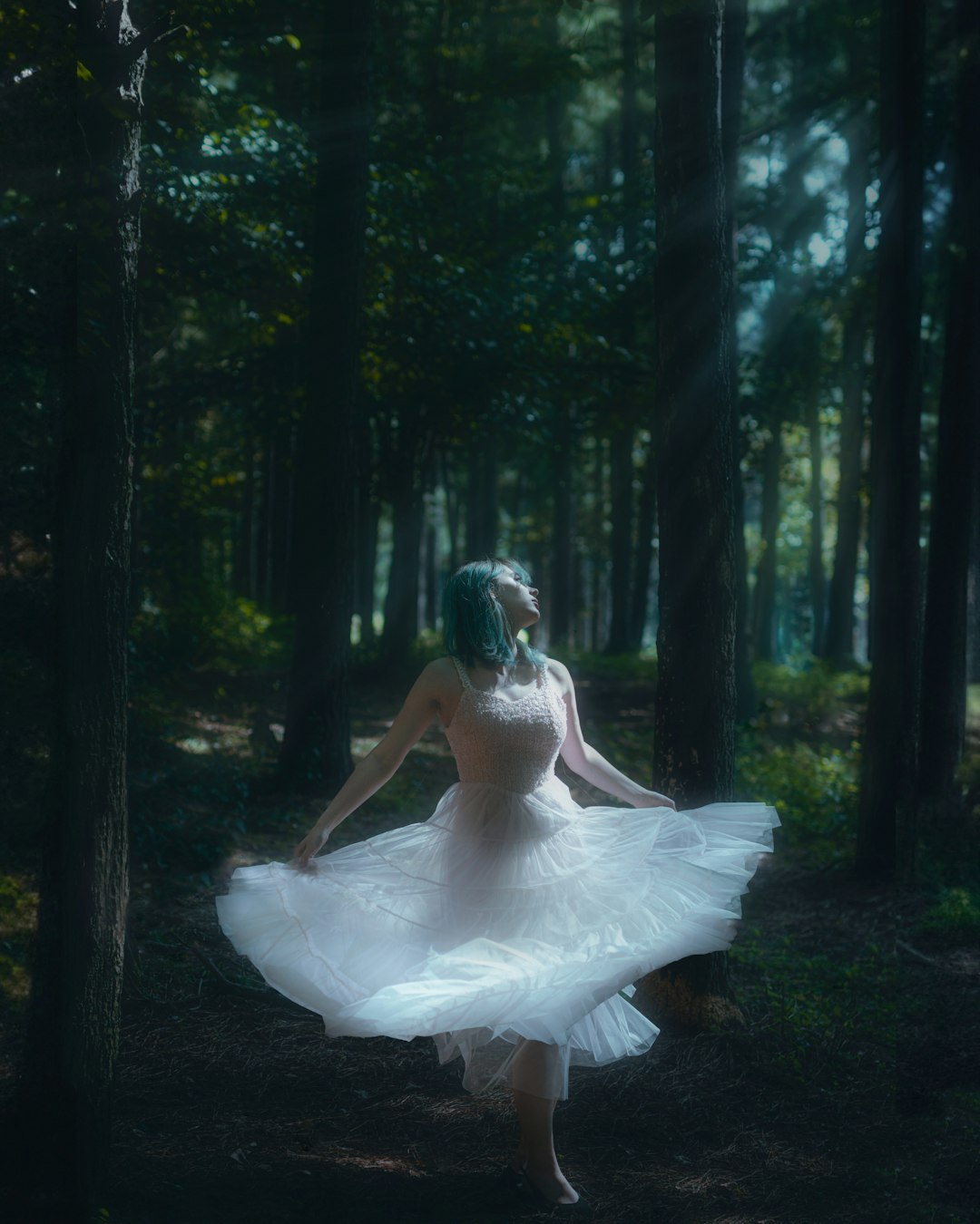 **"Top Dance Training Institutions in Taunton City, MN – Where Passion Meets Skill"**