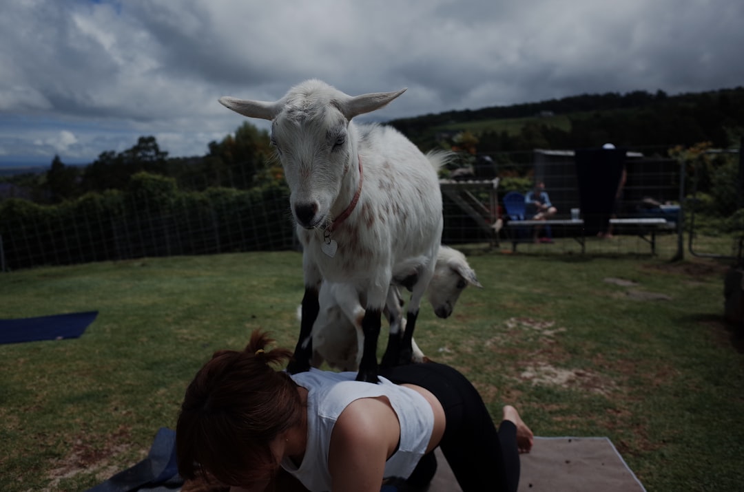Guayabal City: How a Colombian Mountain Town Became an Unlikely Ballet Incubator